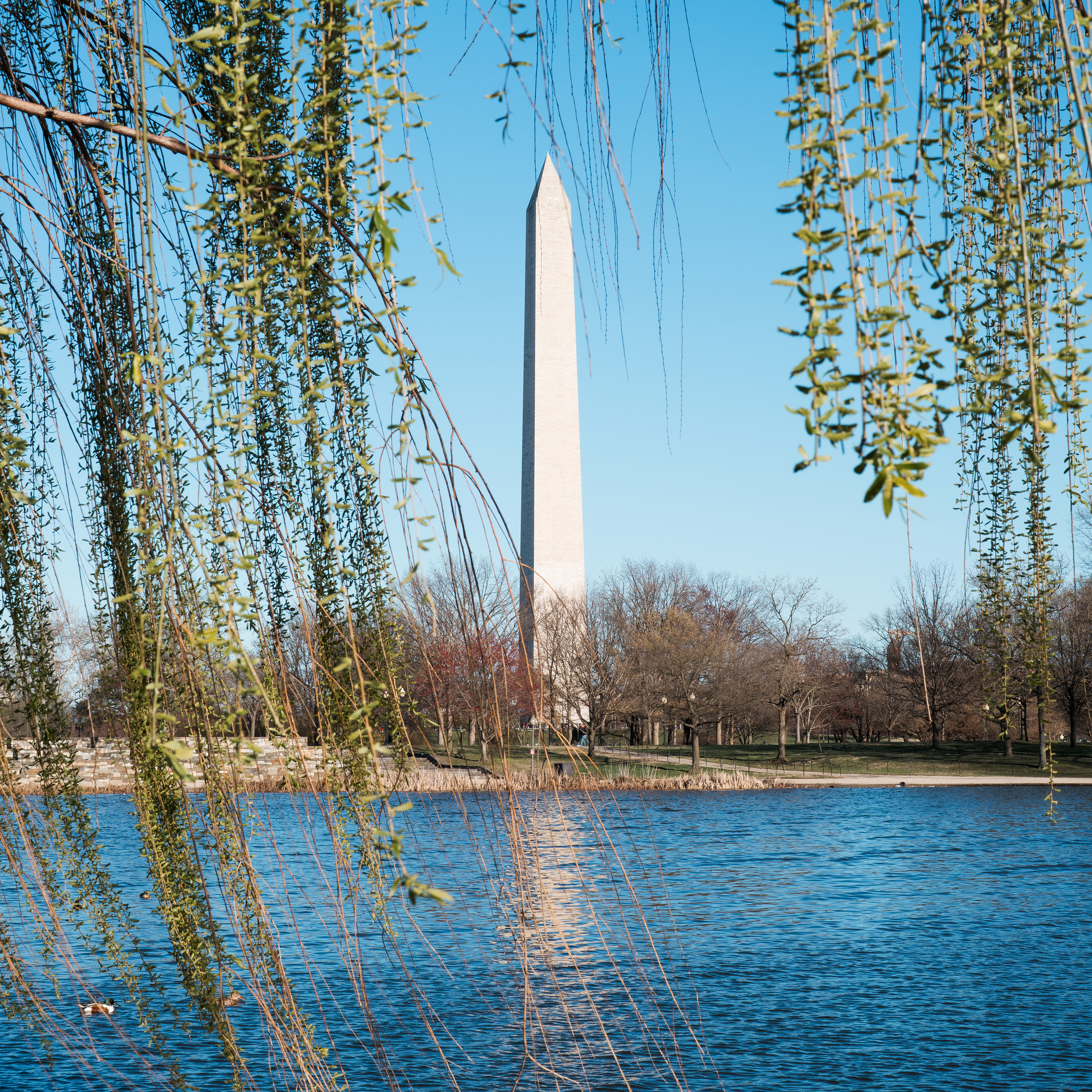 Washington Monument